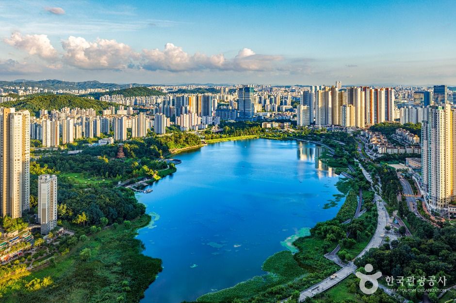 광교호수공원 꽃빛단지 사진